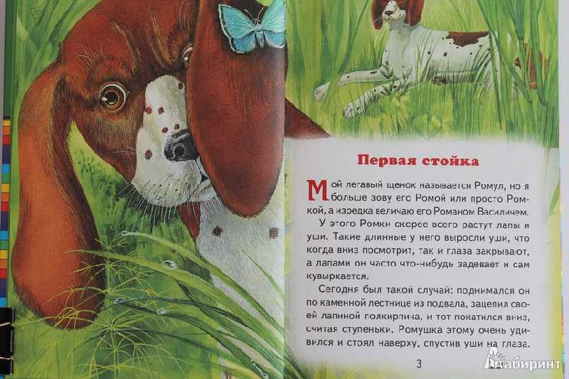Пришвин. рассказы о природе для 2 класса