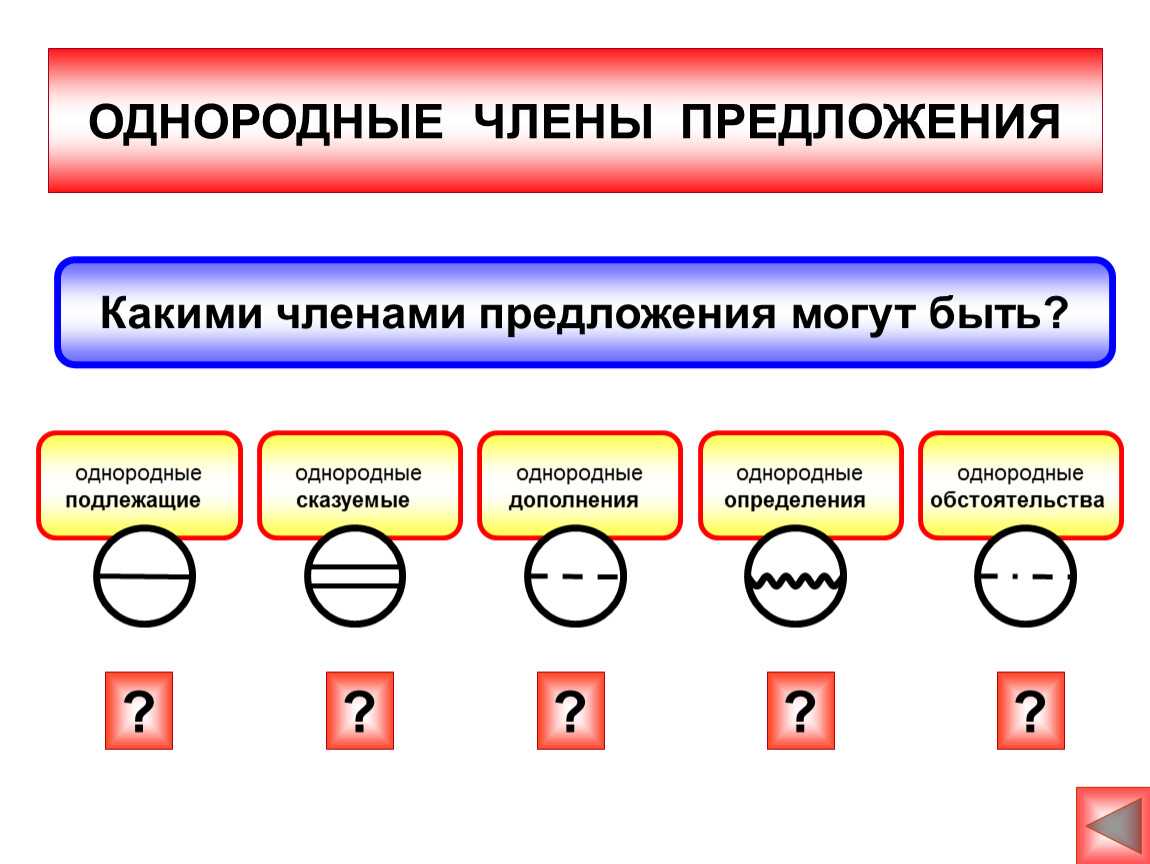 Что такое однородные члены предложения? (с примерами)