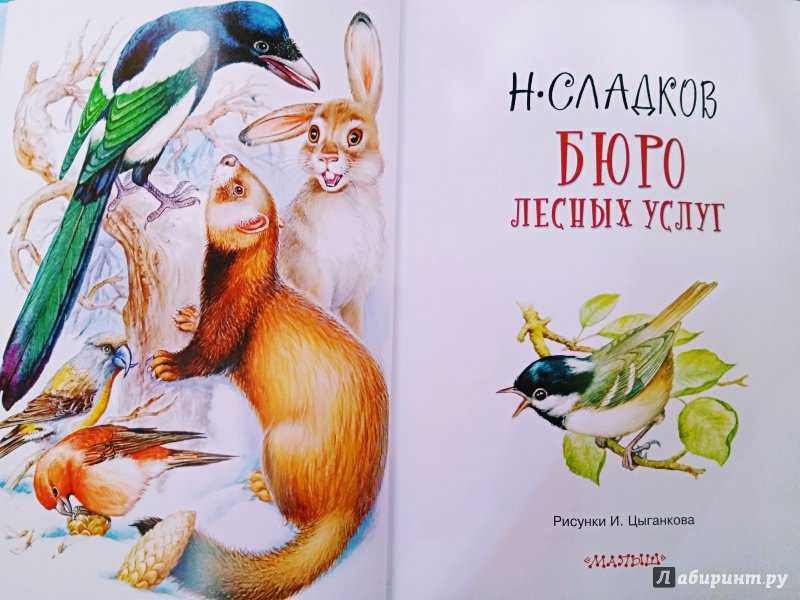 Николай сладковбюро лесных услуг. с вопросами и ответами для почемучек