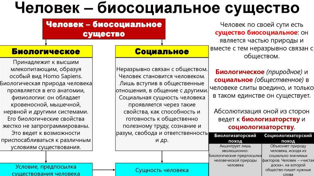 Человек как результат биологической и социокультурной эволюции | егэ общество