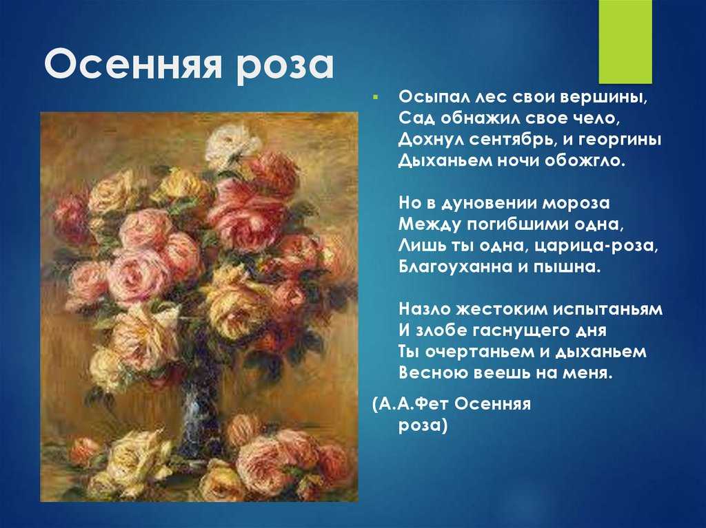 Фет сентябрьская роза главная мысль. «осенняя роза», анализ стихотворения фета