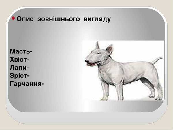 Сетон Томпсон СНАП образец заполнения читательского дневника