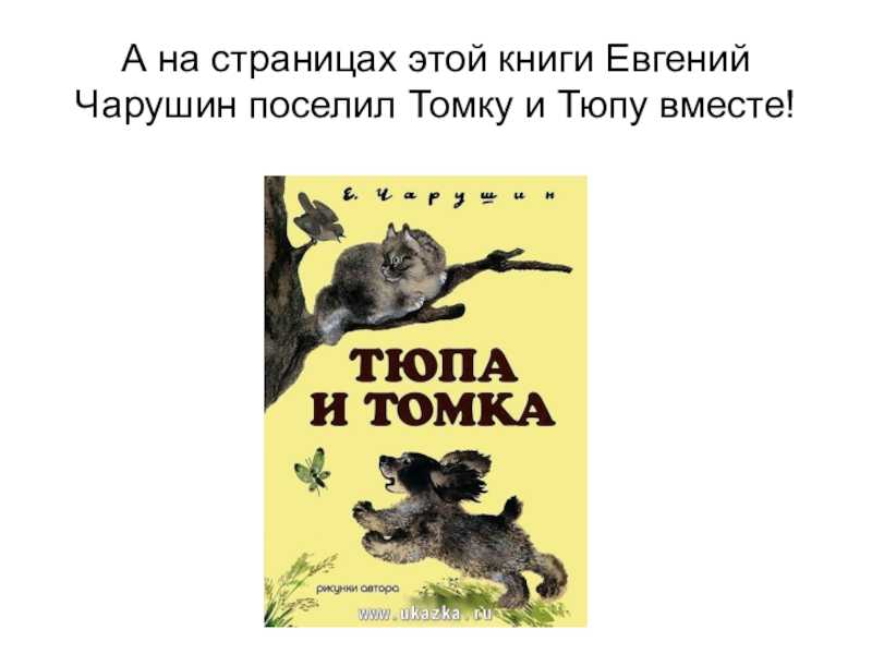 Чарушин «удивительный почтальон» текст распечатать