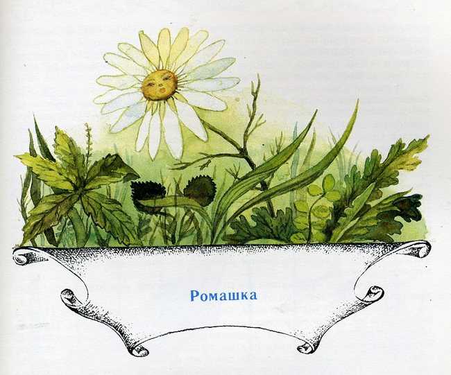 Чайник – краткое содержание андерсена (сюжет произведения)