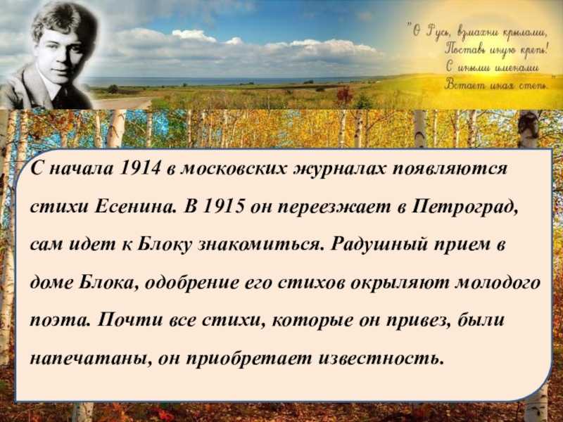 🐮 корова