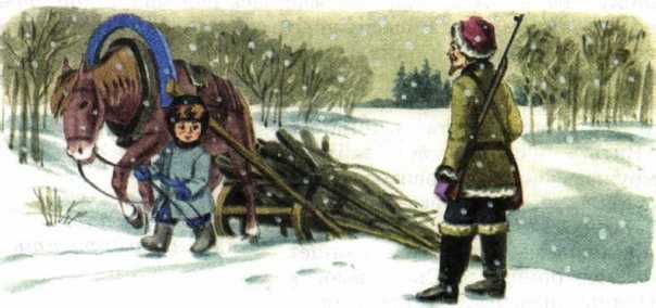 Некрасов "мужичок с ноготком" - читательский дневник, как заполнить?