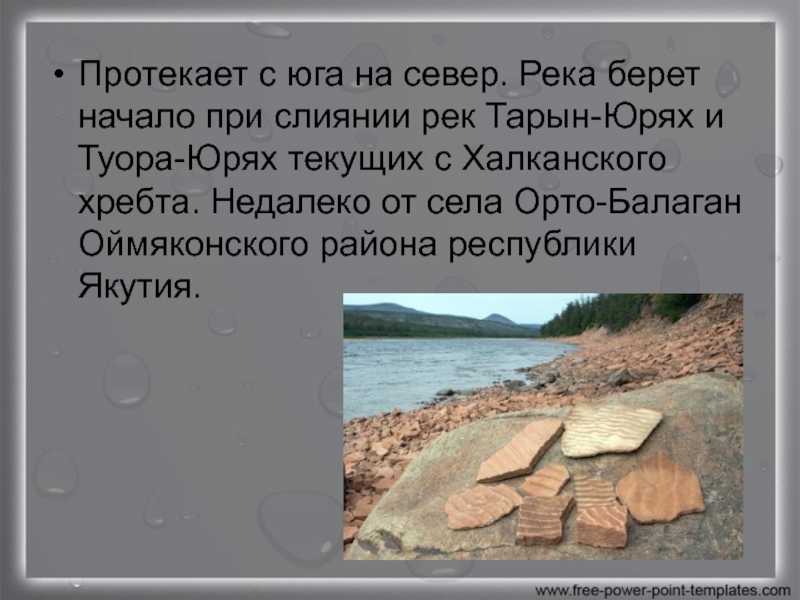 Природа россии: текут ли реки с севера на юг
