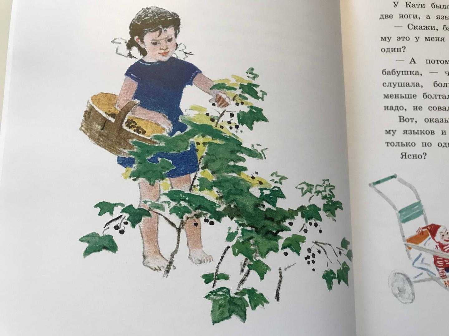 Пермяк Смородинка образец заполнения читательского дневника