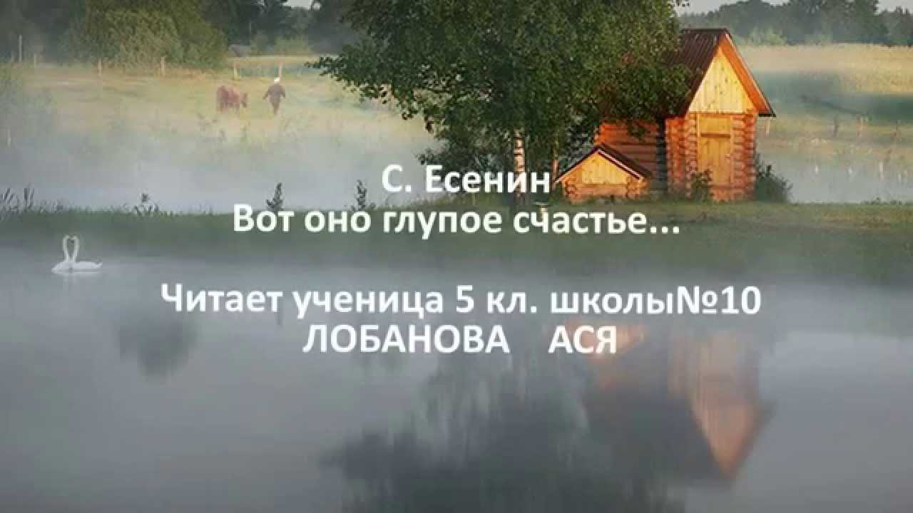 Вот оно глупое счастье с белыми.