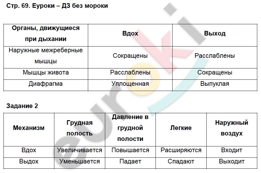 Гдз по биологии 8 класс учебник пасечник, суматохин, гапонюк