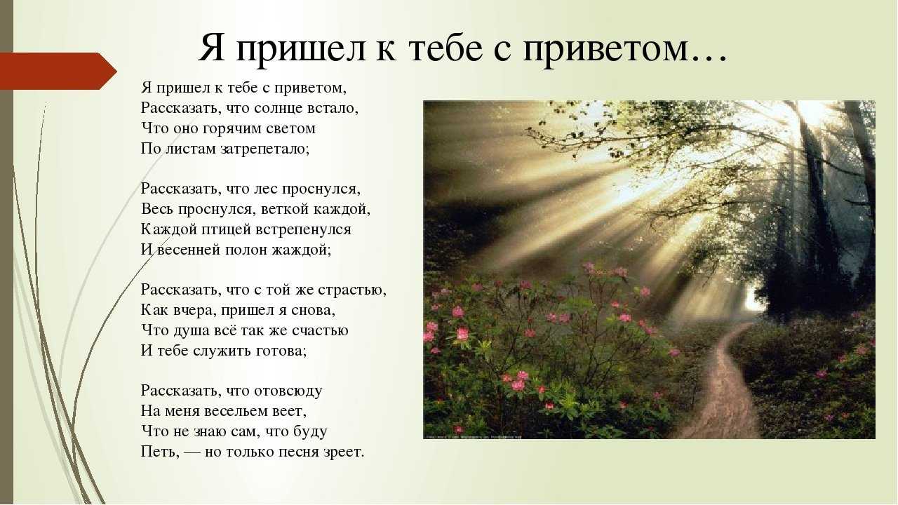 Анализ стихотворения «я пришел к тебе с приветом» (а.а. фет)