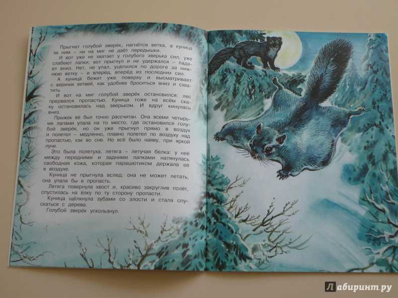 Бианки рассказы о животных краткое содержание. виталий бианки. рассказы для детей о природе
