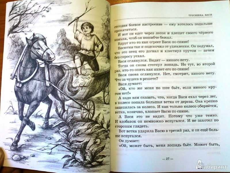 «аришка-трусишка» - краткое содержание рассказа в. бианки для читательского дневника