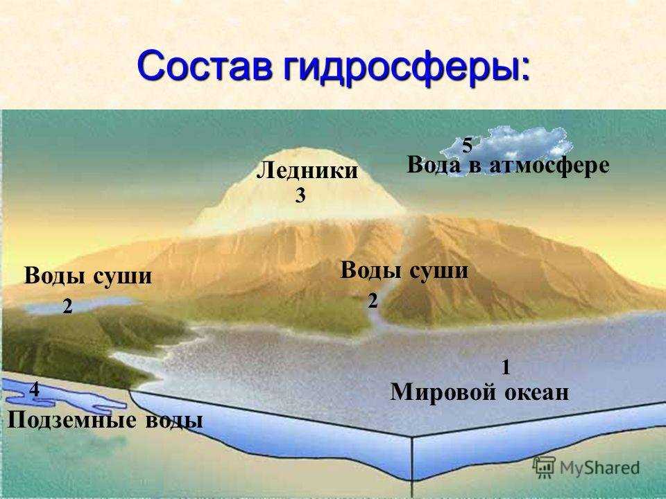Что такое гидросфера? | мир вокруг нас | школажизни.ру
