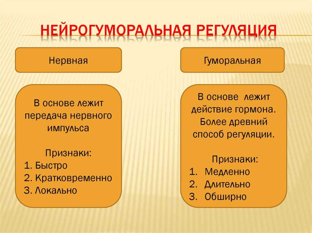 Организм — единое целое