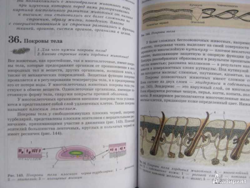 Биология пасечник учебник §8 | 7 класс онлайн