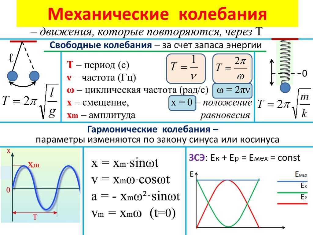 Колебательное движение Свободные колебания Амплитуда колебаний Колебательные системы Гармонические колебания