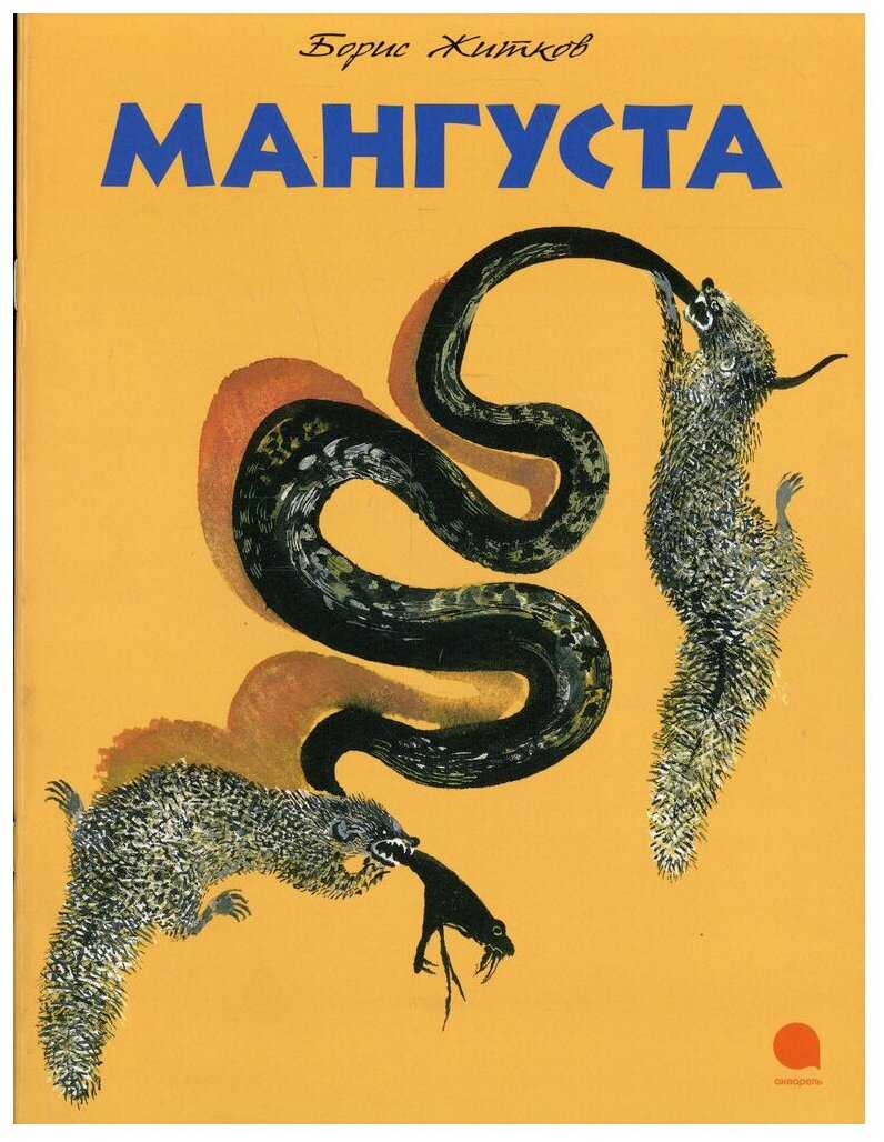«помощь идет» — краткое содержание книги б. житкова для читательского дневника