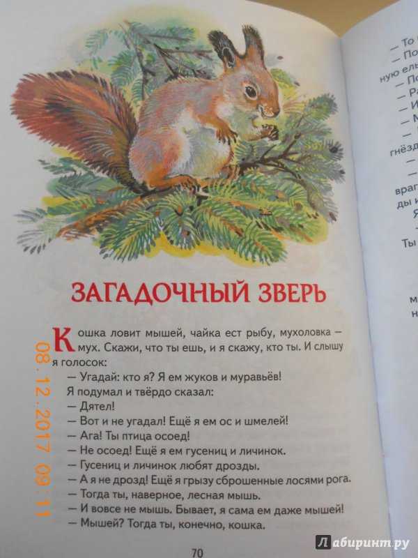 Хитрющий зайчишка - сладков н.и.