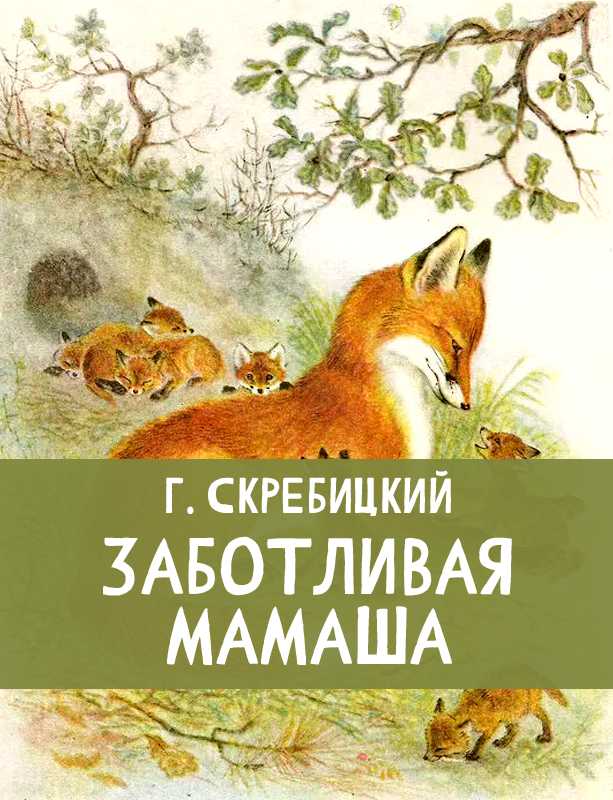 «стрижонок скрип» читательский дневник