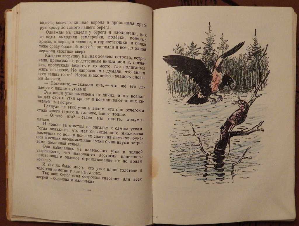 «кладовая солнца» краткое содержание для читательского дневника по сказке пришвина (3 класс) – главная мысль, отзыв, сюжет