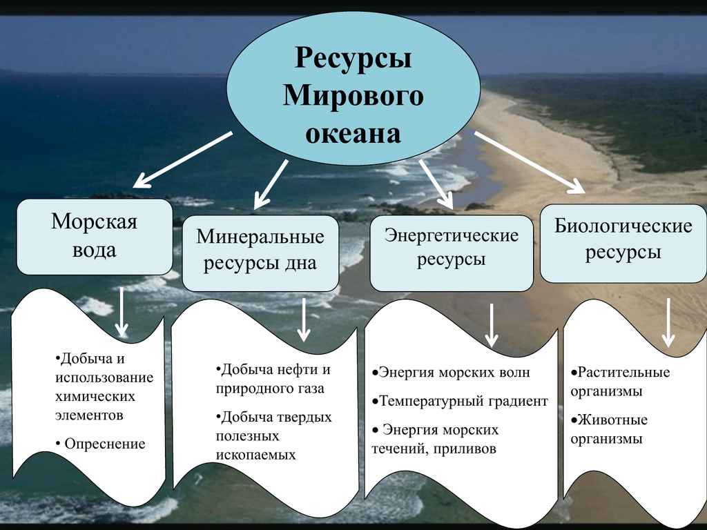 Океаны: список, их описание и краткие характеристики, вся информация
