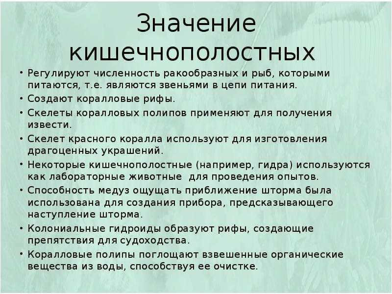 Тип кишечнополостные. общая характеристика, многообразие видов. класс гидроидные. класс сцифоидные. класс коралловые полипы – биология-репетитор – kaz-ekzams.ru