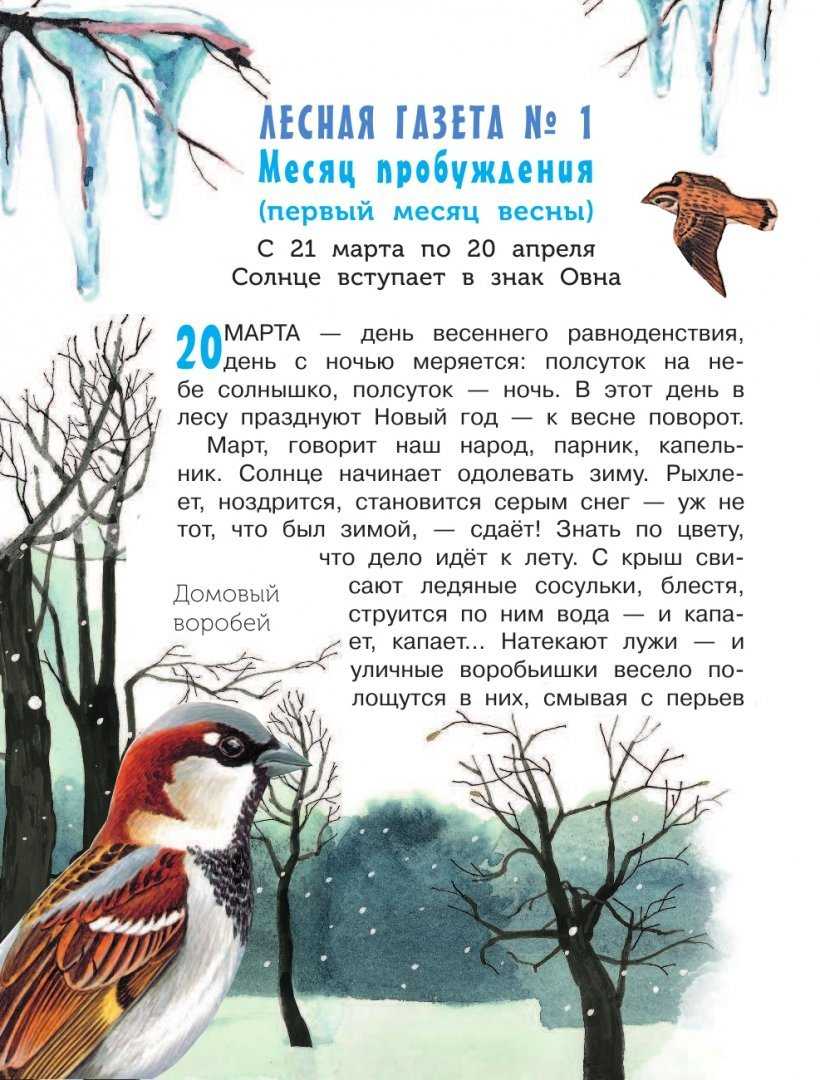 Бианки лесные разведчики - краткое содержание, главные герои, главная мысль