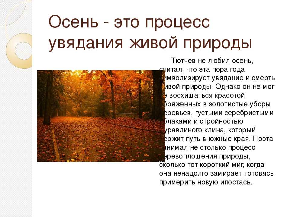 Основная мысль стиха есть в осени первоначальной