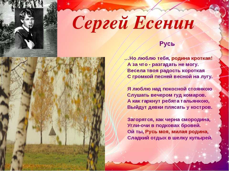 Анализ стихотворения есенина «край любимый! сердцу снятся…. сергей есенин — край любимый, сердцу снятся: стих