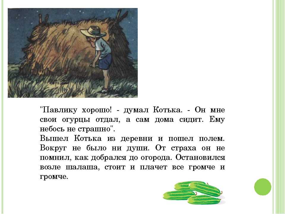 Носов н.н. “огурцы” читательский дневник, краткое содержание