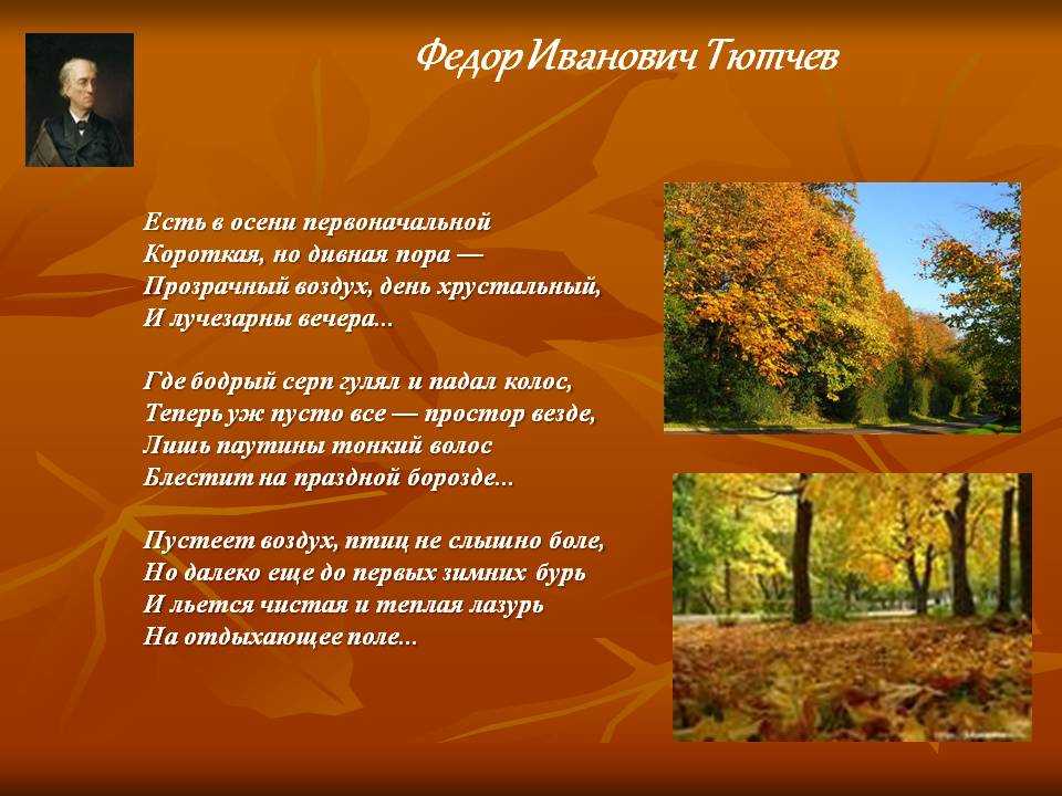 Тема природы и пейзажная лирика в творчестве тютчева