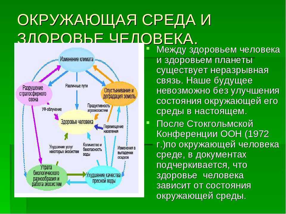 Биология 8 пасечник учебник | частная школа. 8 класс