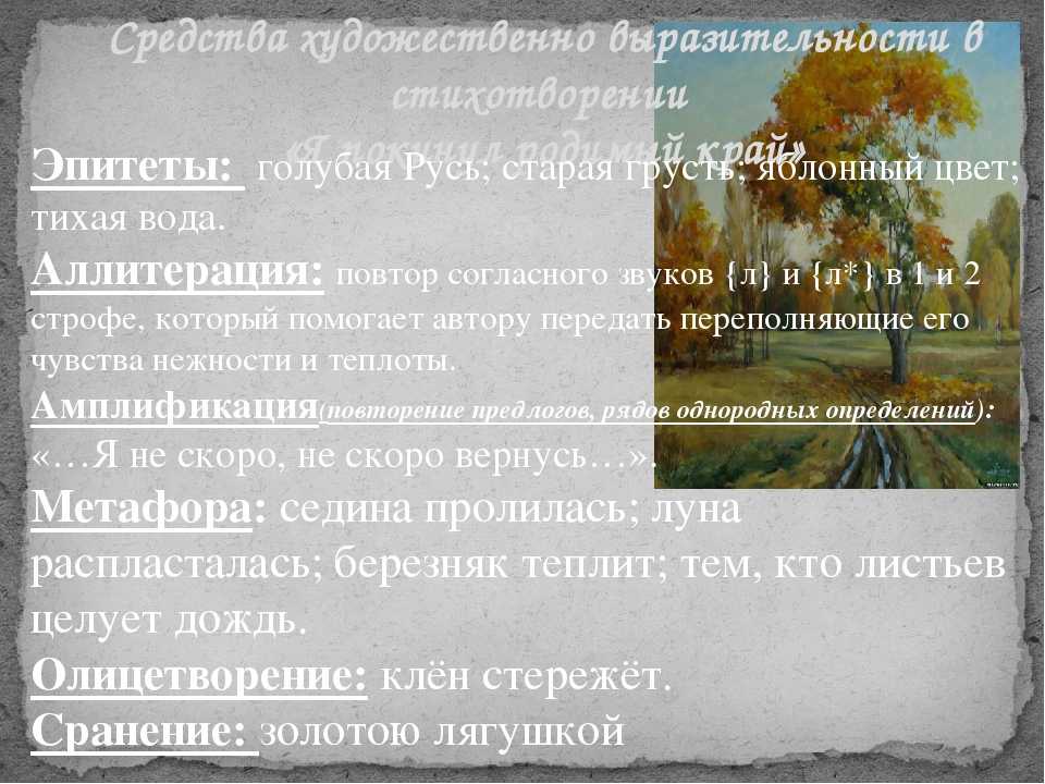 Березы — стихотворение поэта н.рубцова