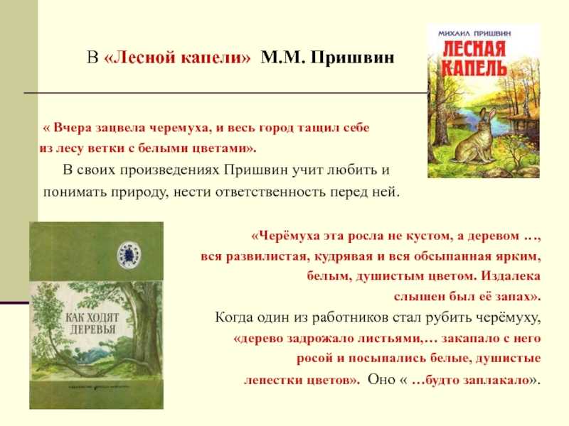 Читательский дневник «птицы под снегом» м.м. пришвин.