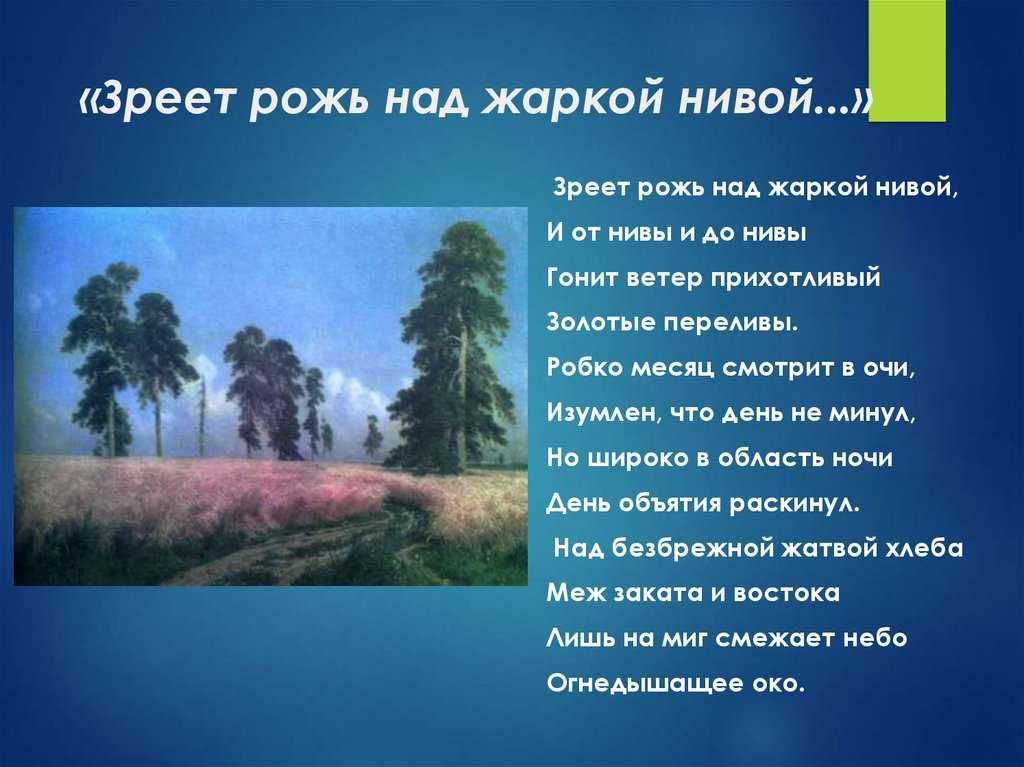 «зреет рожь над жаркой нивой...», анализ стихотворения фета