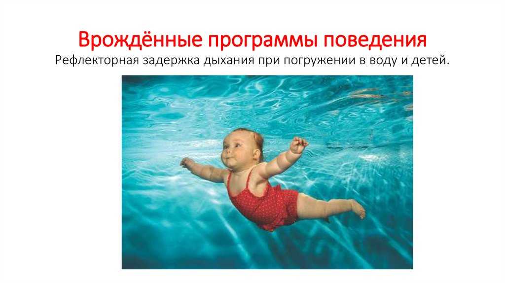 Биология 8 класс. пасечник - илюшар - база знаний