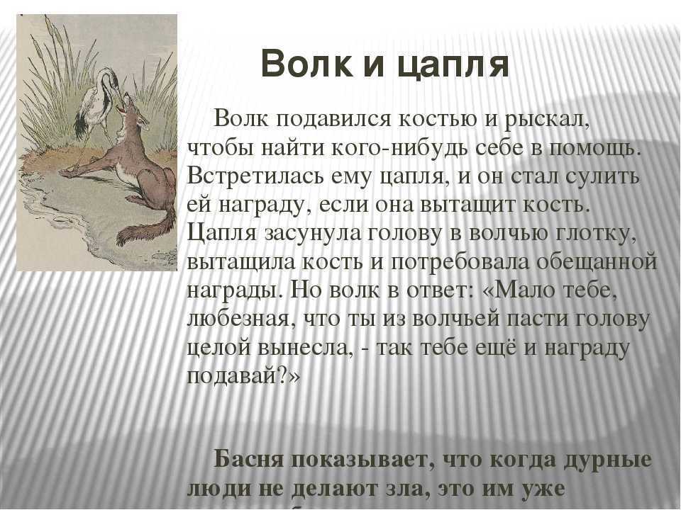 Краткое содержание пожарные собаки толстого для читательского дневника