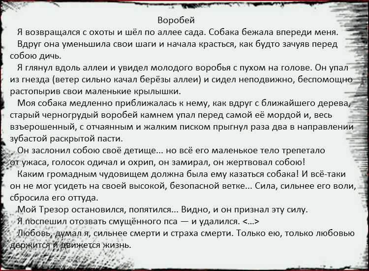 Анализ стихотворения Воробей Тургенева история создания тема композиция жанр средства выразительности эпитеты метафоры олицетворение