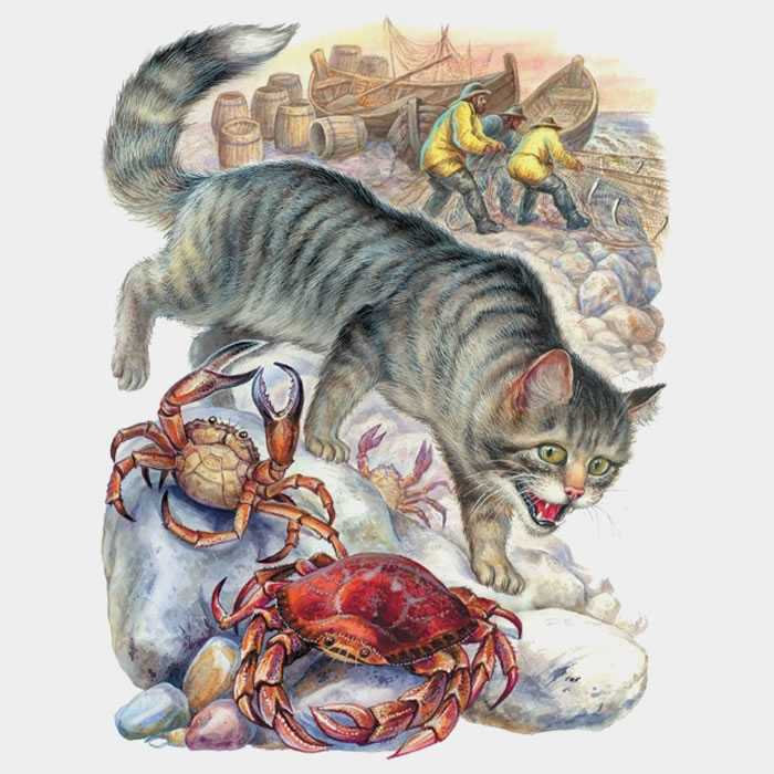 Удивительная кошка — обсуждение в группе "кошки" | птичка.ру