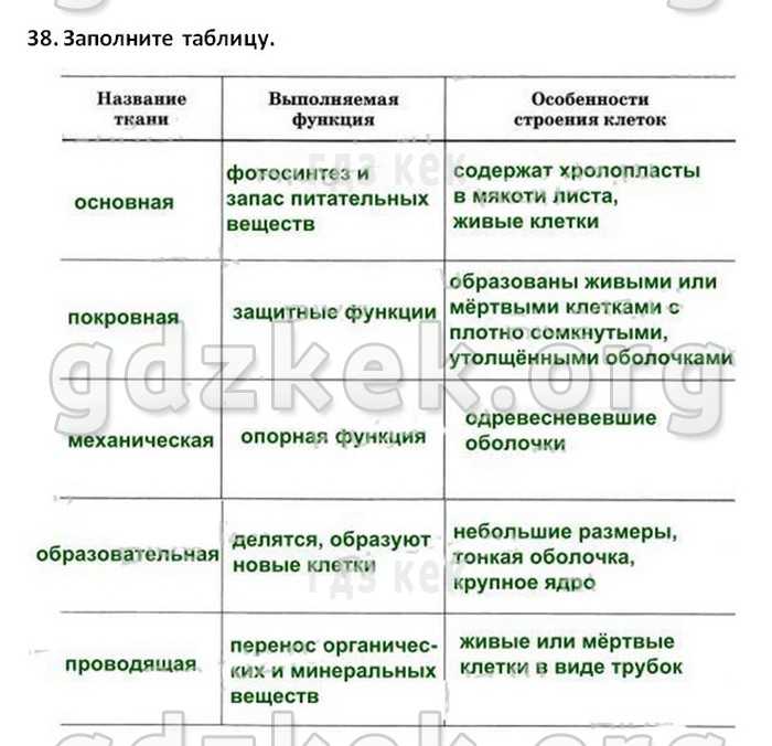 § 24. питание и его значение. органы пищеварения и их функции - илюшар - база знаний