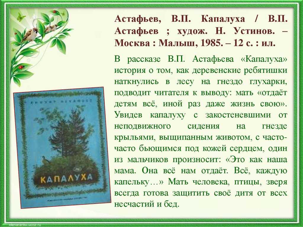 Ознакомление с рассказом в. п. астафьева «капалуха» в 3 классе. воспитателям детских садов, школьным учителям и педагогам - маам.ру