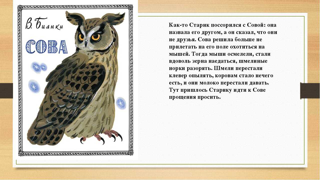 «слон» куприна для читательского дневника: краткое содержание и главные герои рассказа
