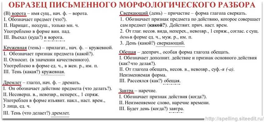 Имя числительное — определение, виды, примеры
