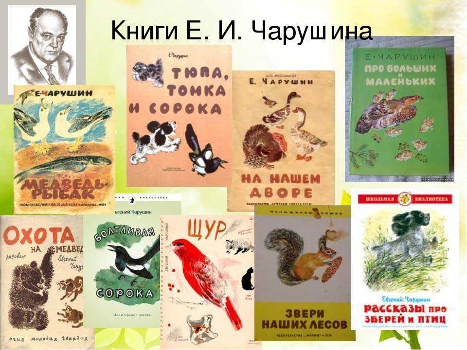 Чарушин евгений “тюпа, томка и сорока” читательский дневник, краткое содержание