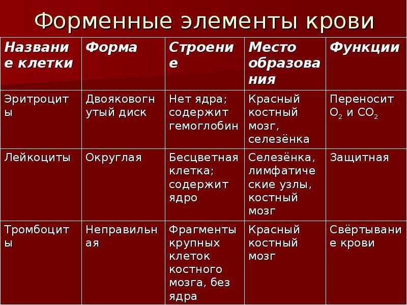 Компоненты внутренней среды организма. 