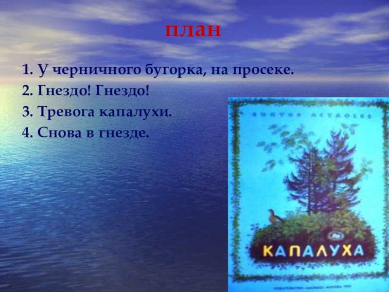 Краткое содержание астафьев пролётный гусь для читательского дневника