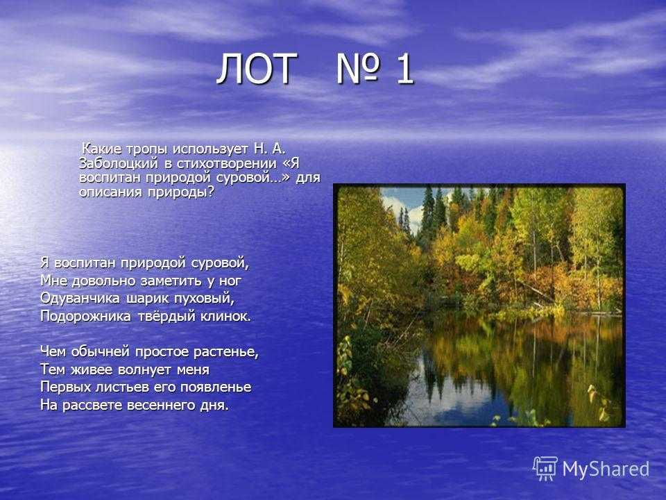 Анализ стиха я воспитан природой суровой