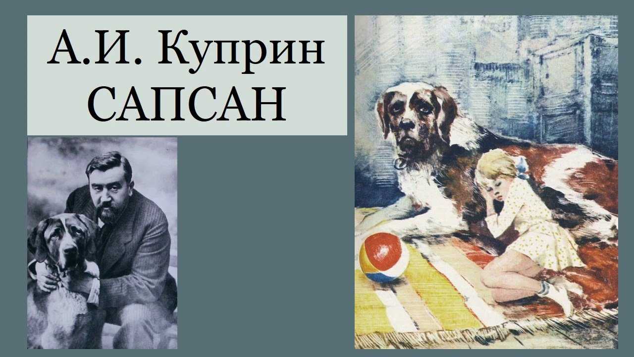 Сапсан   ::   куприн александр иванович