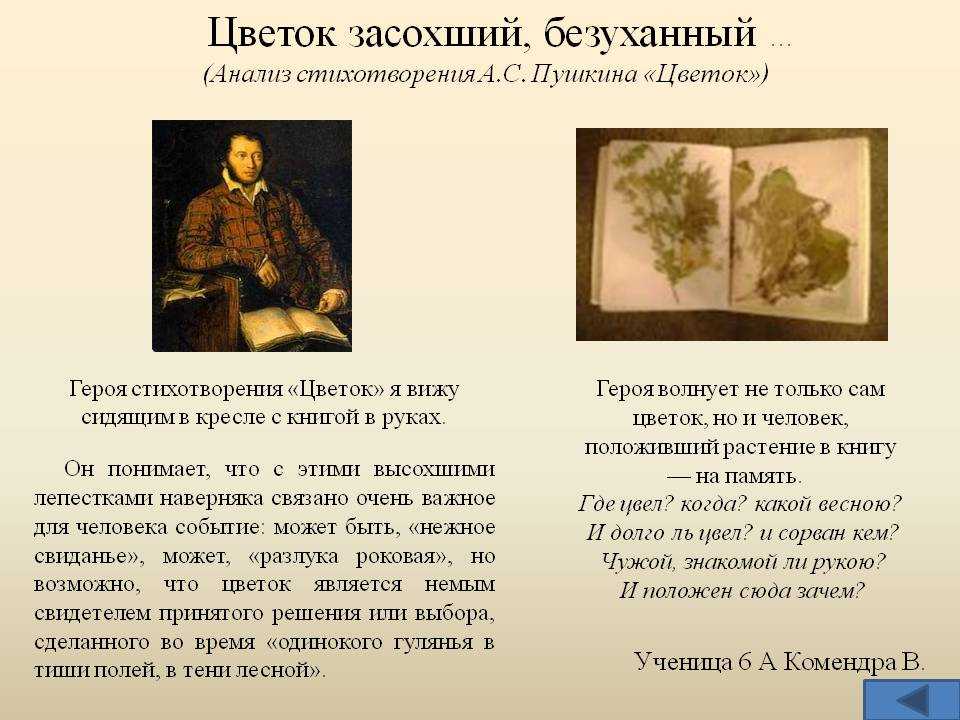 Образец анализа стихотворения Цветок Пушкина